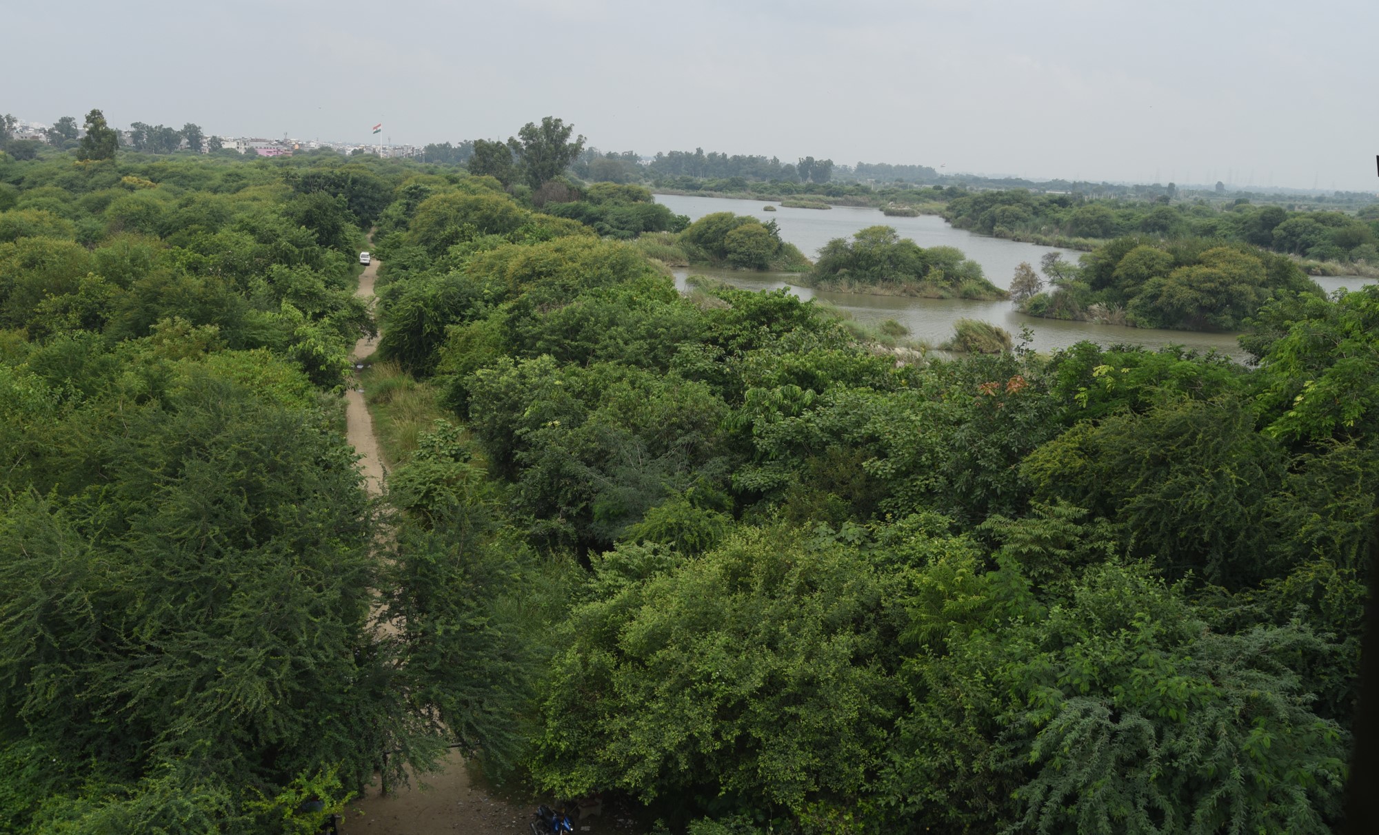 Triumph of Yamuna Biodiversity Park over floods