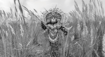 The Red Hibiscus Trail – a solo show