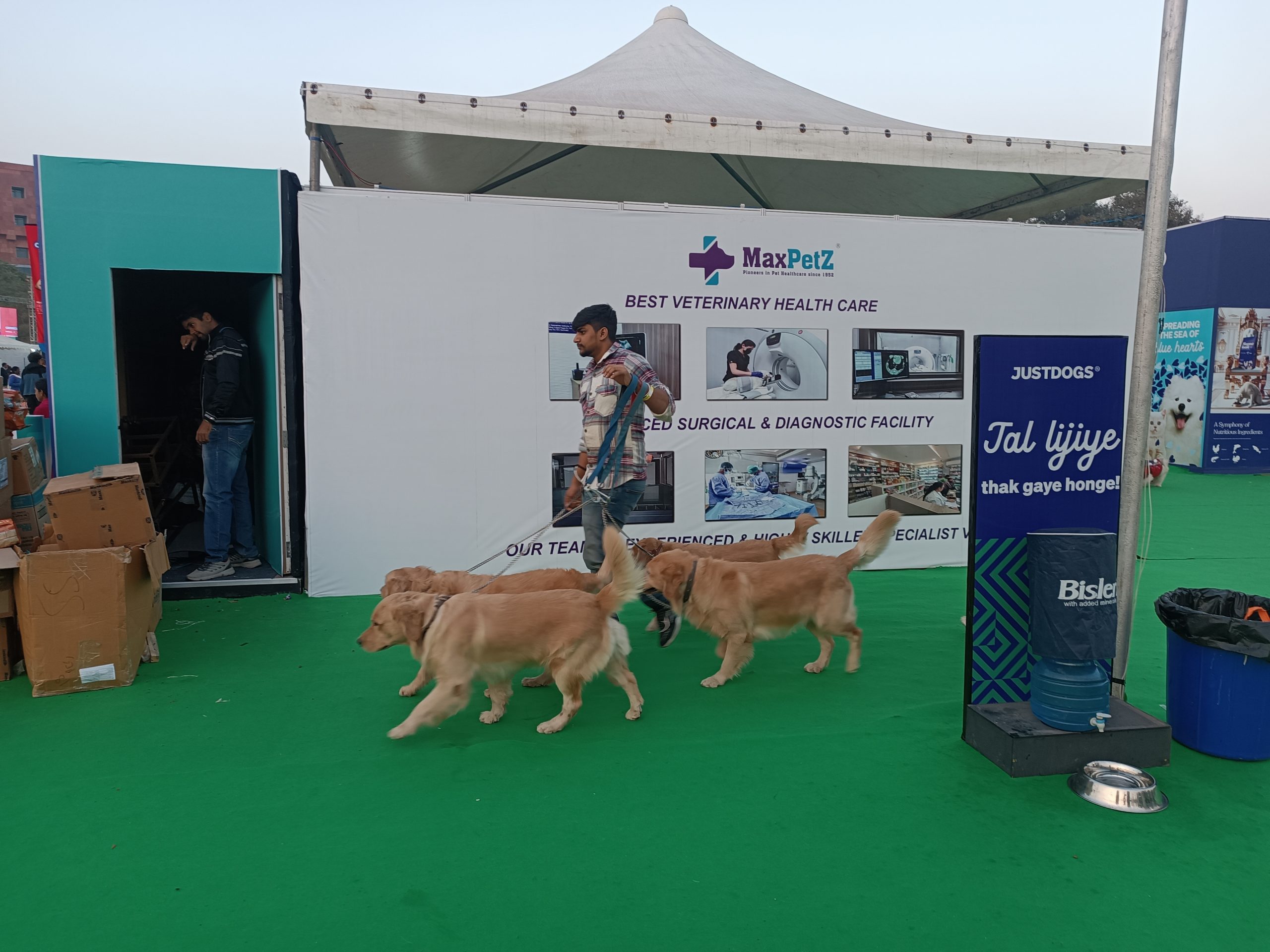 Delhi Pet Fest: Two days of tail-wagging, frolicking at Okhla NSIC Grounds