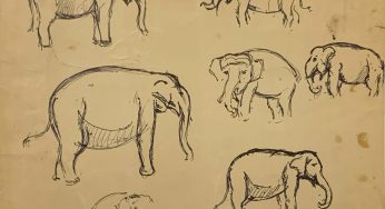 Drawing from Life: A tender work of art