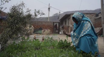 Seeds of Change: Women in Bhalswa slums nurturing gardens 