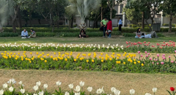 From Amrit Udyan to Tulip festival: Delhi blooms as Spring graces Capital