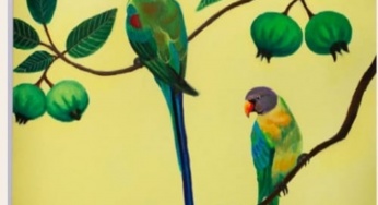 Tropical Dalliance: Vibrant avian wonders