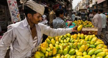 The mango that eluded Ghalib in Delhi