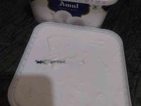 Video: Kankhajura found inside Amul ice cream ordered online in Noida