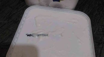 Video: Kankhajura found inside Amul ice cream ordered online in Noida