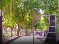 Delhi begins improving green spaces, parks for summer
