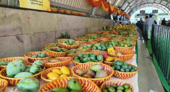 Delhi gets a taste of West Bengal, Bihar mangoes after five years