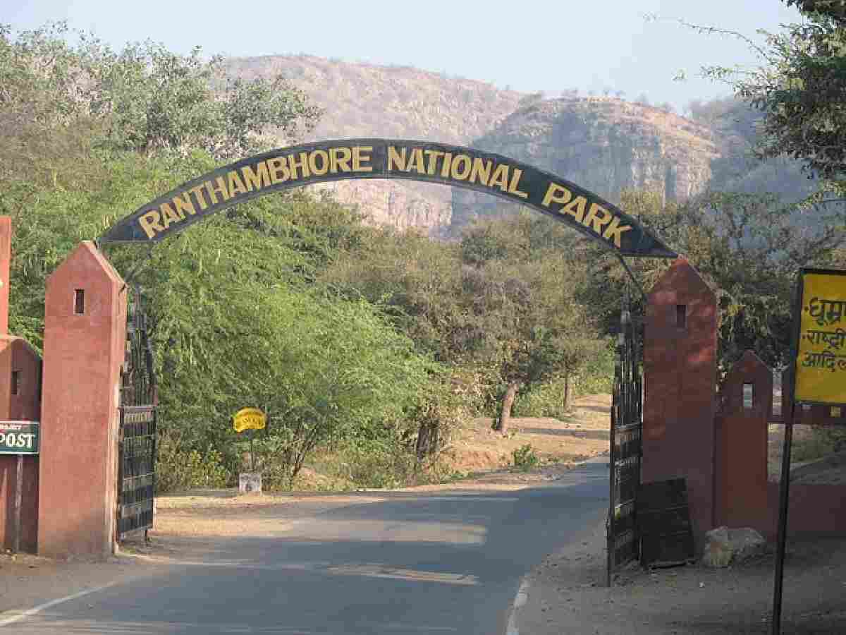 Ranthambore National Park (1955) - In Rajasthan, it is known for its tiger sightings and historical ruins