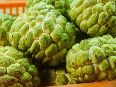 Custard Apple