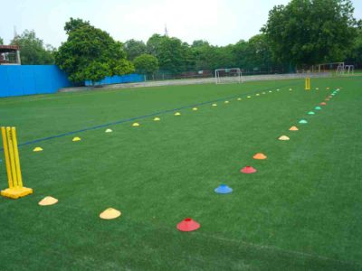 first-of-its-kind injury-free multi-sports field