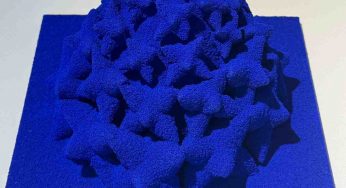 Seventh Delhi contemporary art week to start on August 31