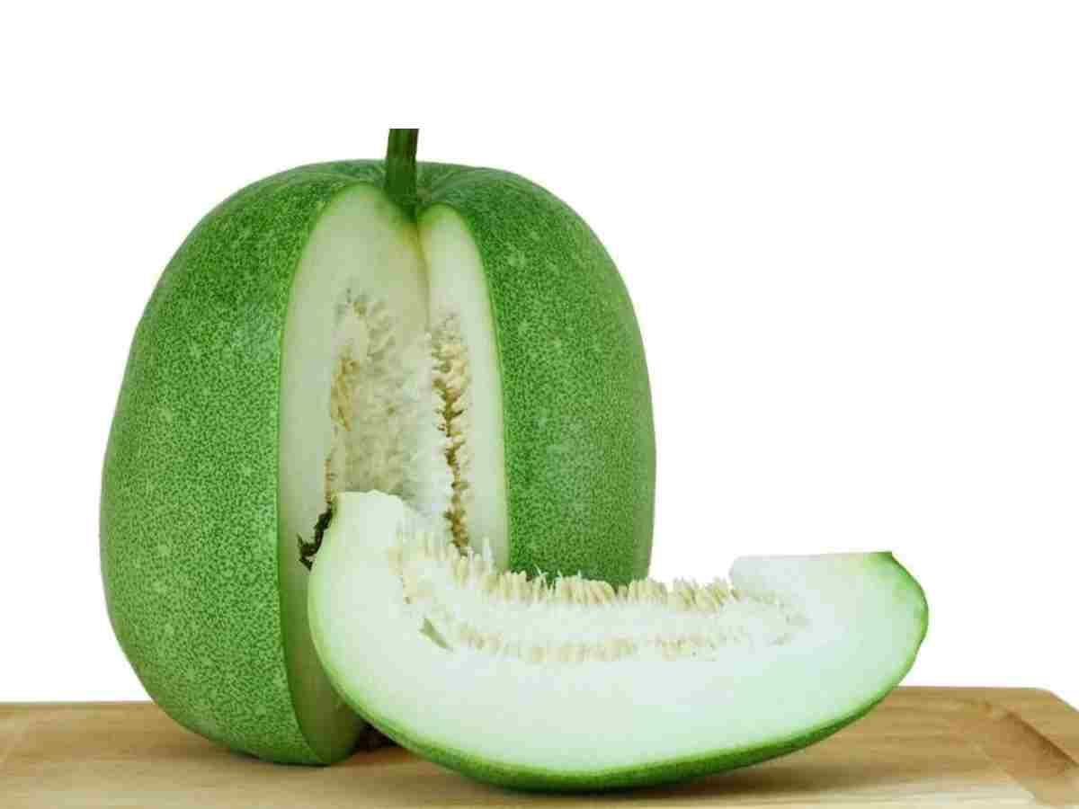 Ash Gourd (Petha): With its high water content, ash gourd helps in hydration and can be used in both sweet and savoury dishes