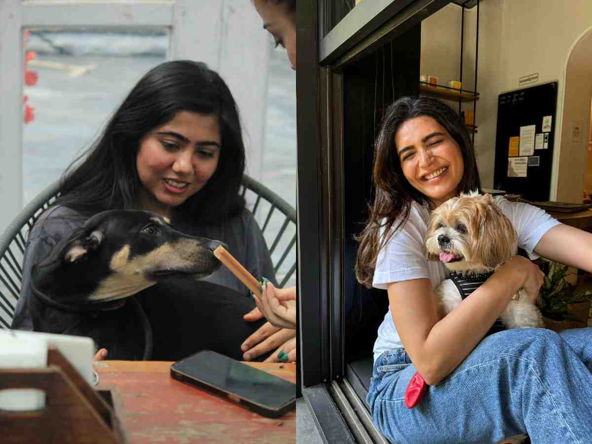 International Dog Day: Pet-friendly cafes celebrate the special bond between pets and owners, making them feel right at home.