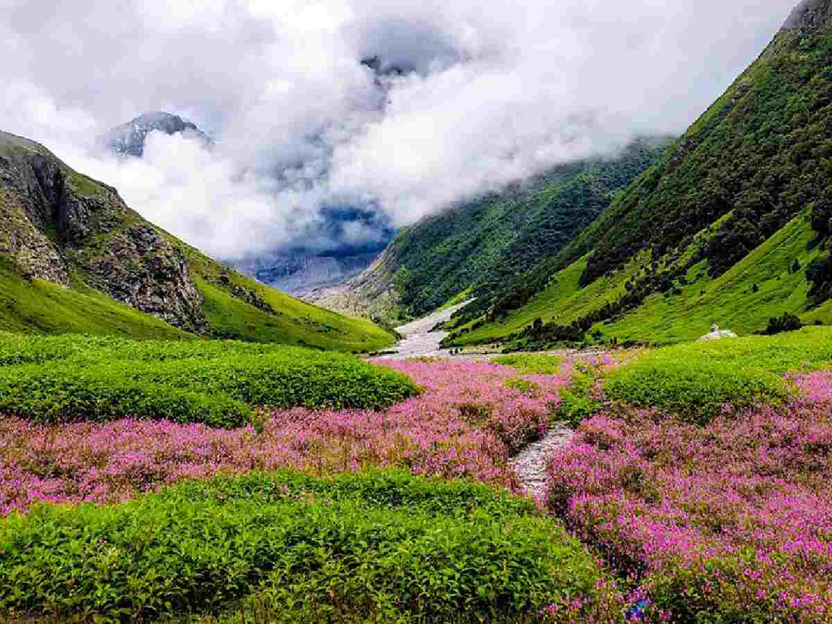 Valley of Flowers, Uttarakhand: Marvel at vibrant alpine meadows in this UNESCO World Heritage Site, perfect for trekkers and nature lovers.