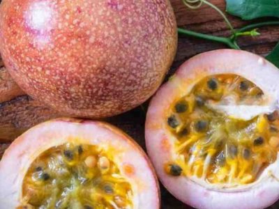 passion fruit