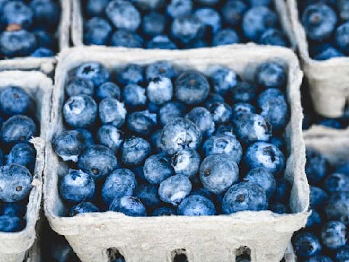 Blueberries - Rich in antioxidants and vitamins, blueberries support cognitive function and protect the brain from oxidative stress.