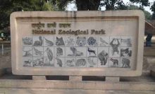Delhi Zoo