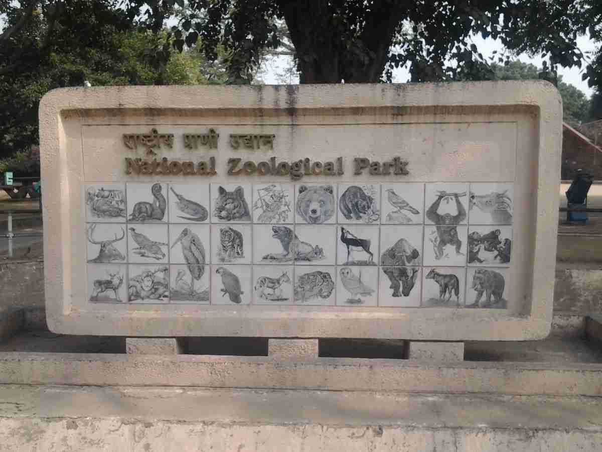 Delhi Zoo