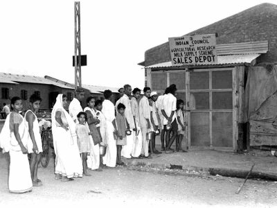 RELIC: Delhi Milk Supply Scheme distribution at a depot in Delhi'sRajendra Nagar in the '50s PICTURE SOURCE: WIKIMEDIA