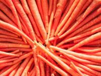 Carrots (3)