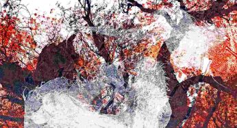 Ancestral Futures: A group art exhibition