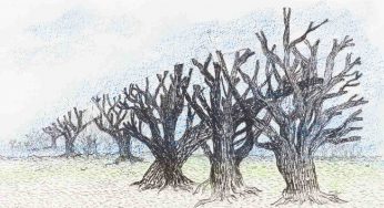 Blueprints of Illusion: An exhibition of drawings