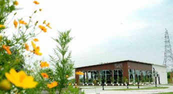 Bamboo Oasis Cafe: A tranquil escape with lavish meals in nature’s lap