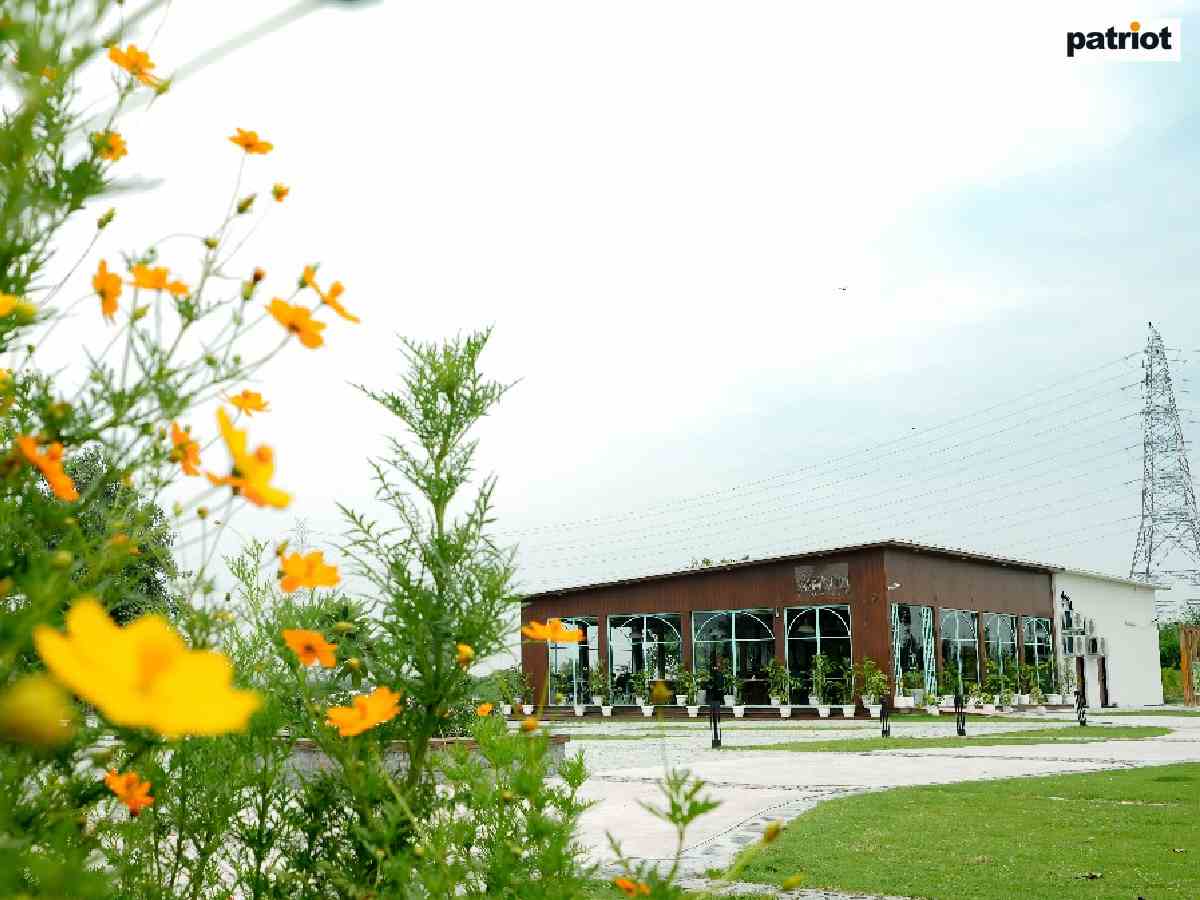 Bamboo Oasis Cafe: A tranquil escape with lavish meals in nature’s lap