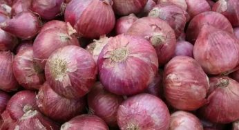 ‘Kanda Express’ to transport 1,600 tonnes of onions to Delhi on October 20