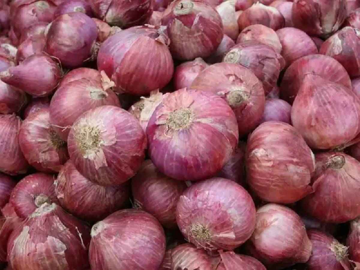 ‘Kanda Express’ to transport 1,600 tonnes of onions to Delhi on October 20