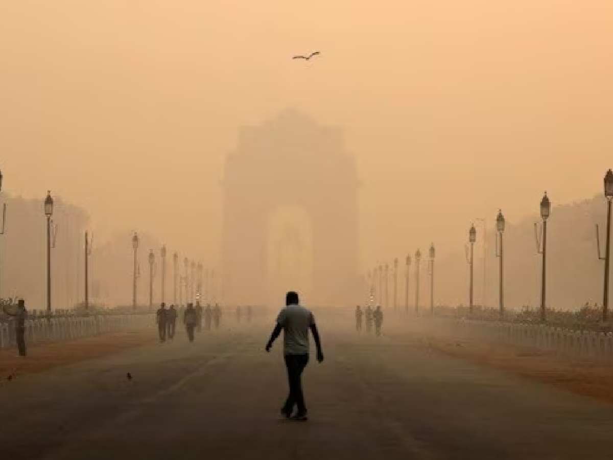 Delhi Top strategies to combat indoor air pollution