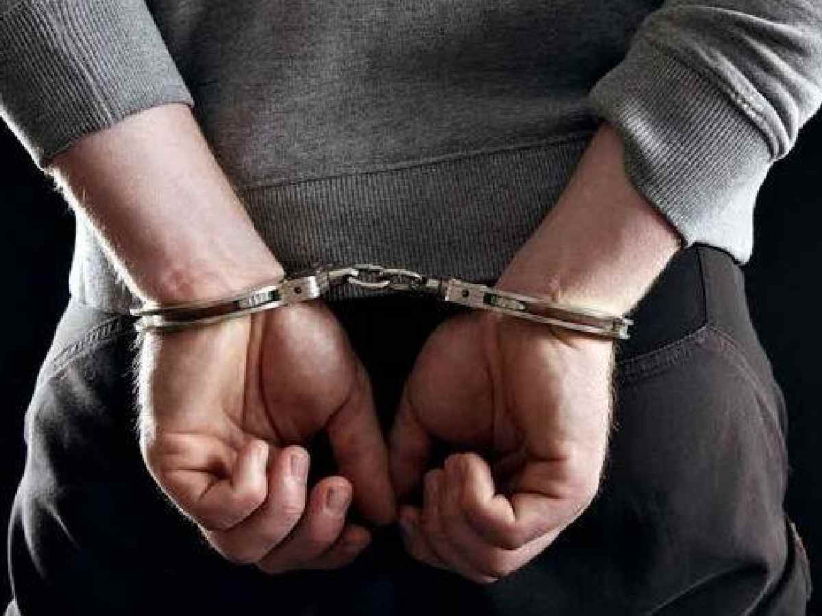 ED arrests Delhi-based importer brothers in money-laundering case