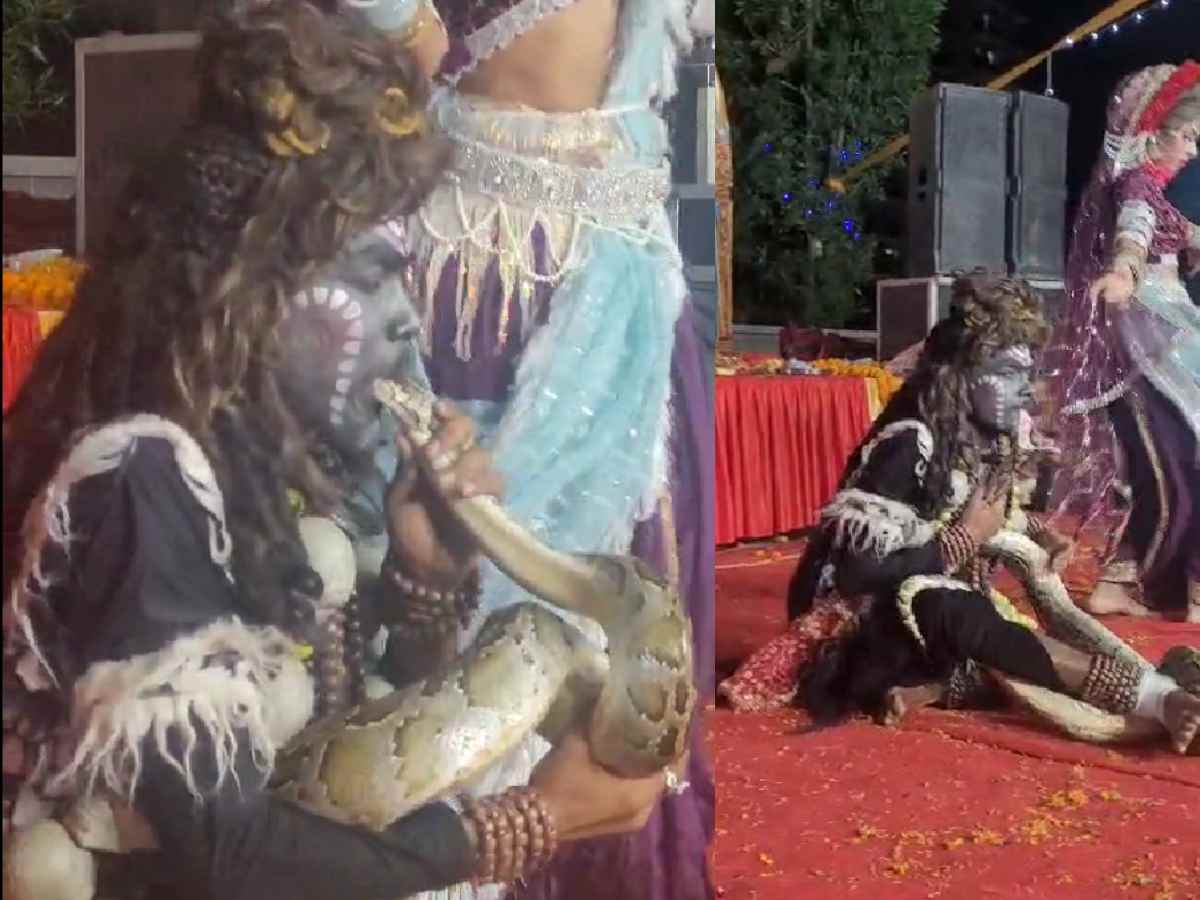 WATCH | Two booked for abusing Indian python at Greater Noida event following PETA India’s intervention