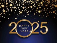 Welcome 2025: Best New Year Celebrations across Delhi-NCR!