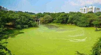 Satpula pollution: NGT seeks lake’s present status from DDA