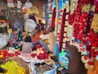 Ghazipur flower market: Where Delhi finds its finest blooms