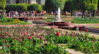 Amrit Udyan to open for public from August 16 to September 14: Rashtrapati Bhavan