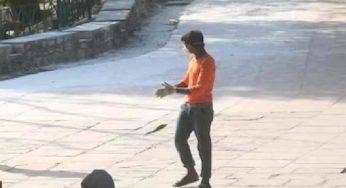 Delhi: Teenage boy, girl found hanging from tree