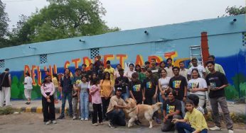 Delhi street art revolution: How young artists are transforming urban landscapes