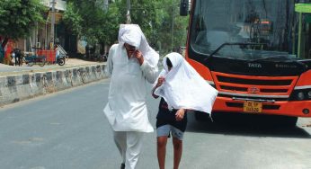 Heat out of the park: How Mungeshpur, Ayanagar and the Ridge bear rising heat burden in Delhi