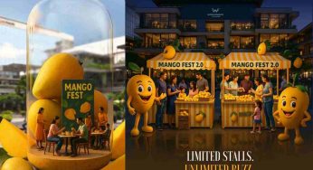Mango Fest 2.0