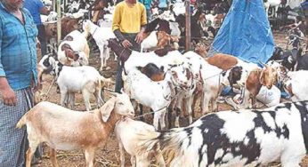 Delhi govt bans ‘illegal’ killings, social media ‘glorification’ of sacrifice on Eid