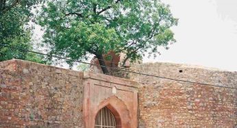 Delhi: MCD’s night market at Salimgarh Fort fails to enthuse vendors