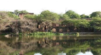 Satpula Lake: The story of how a 700-year-old reservoir in Delhi was restored
