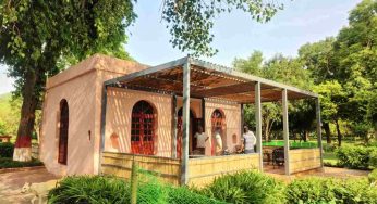 Shalimar Bagh: From a forgotten forest to a cultural gem