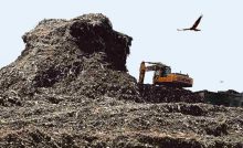 8 years, zero waste to landfill: A south Delhi colony is repurposing waste like no other