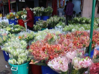 Asiatic and oriental lilies, grown in Himalayan regions, or imported from China Delhi