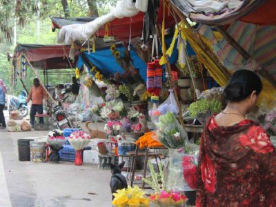 Mehrauli flower market, known for its rustic charm and exotic flowers