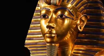 Toxic fungus from King Tutankhamun’s tomb yields cancer-fighting compounds: study